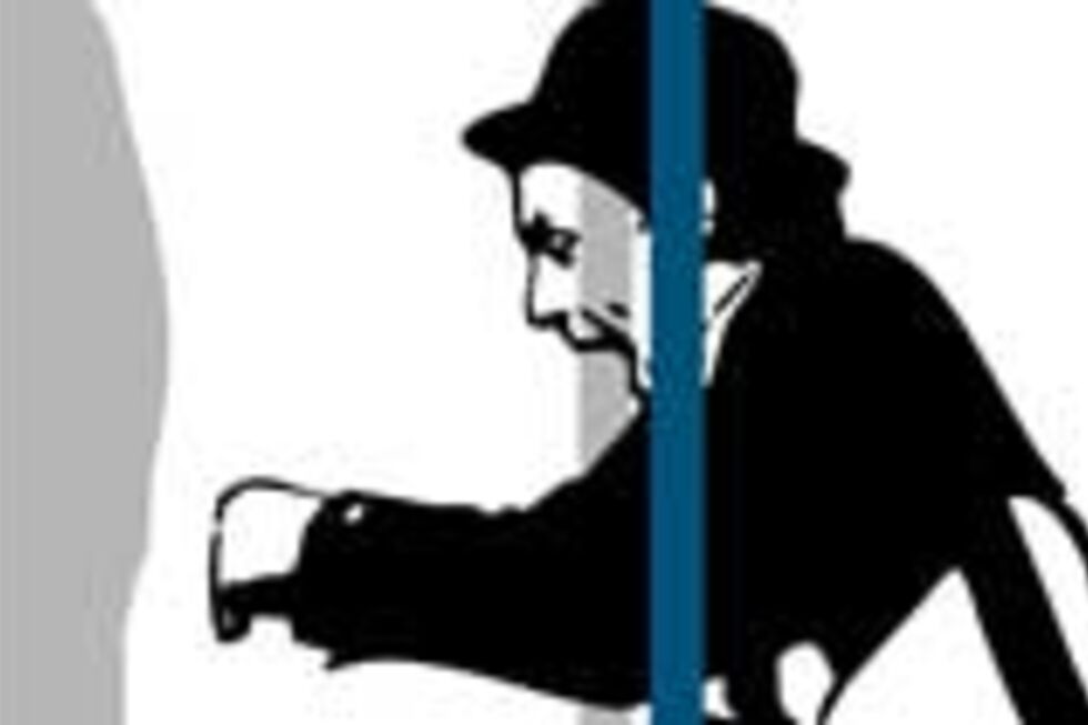 O Escaravelho Contador 