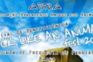 For the Glory +  Havendenied + Civic + Decay + Lossspectraofpure