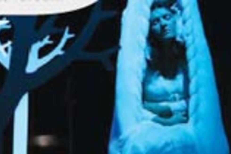 O Pescador de Estrelas