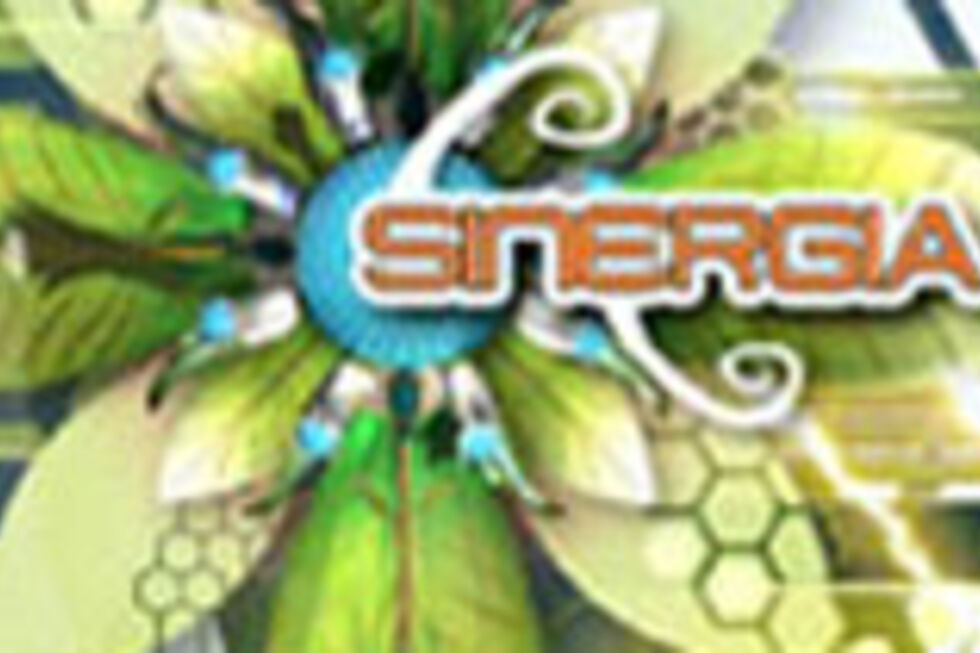 Sinergia Summer Camp