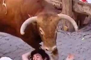 Toureiro morre com uma cornada 