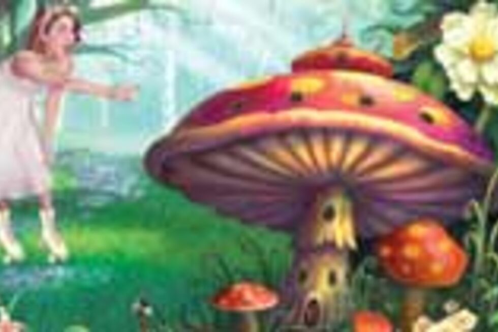 Branca de Neve na Floresta Encantada (Figueira da Foz)