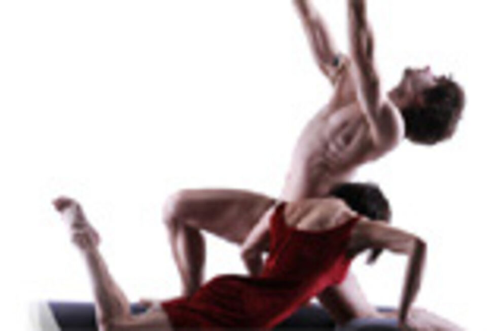 Cantata + Strokes Through the Tail + Fauno (Bragança)