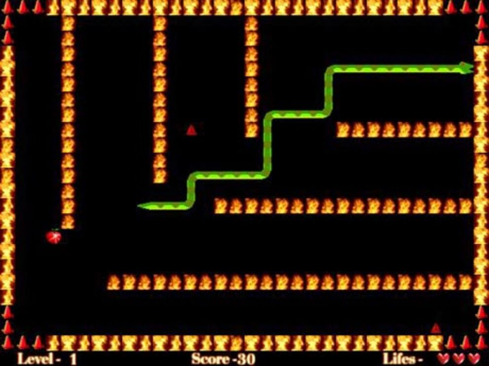 Snake