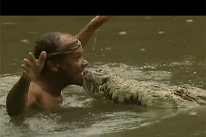 O melhor amigo deste homem é um crocodilo (vídeo)