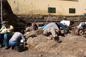 Reportagem: À procura de ossos em Beja (vídeo)