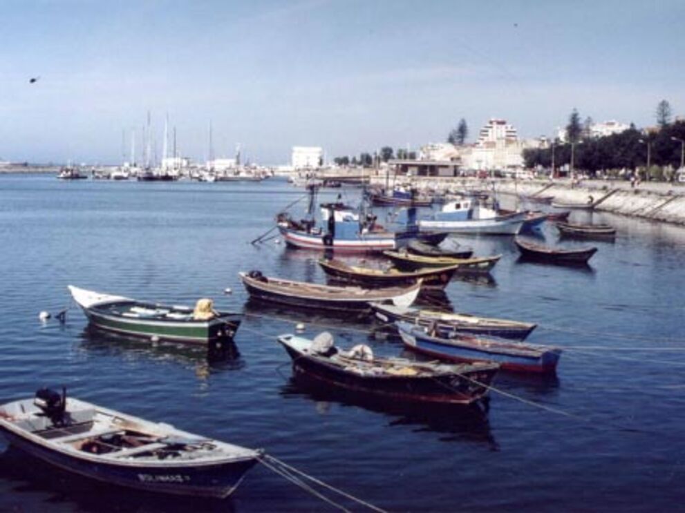 Pescadores podem ter alta ainda hoje