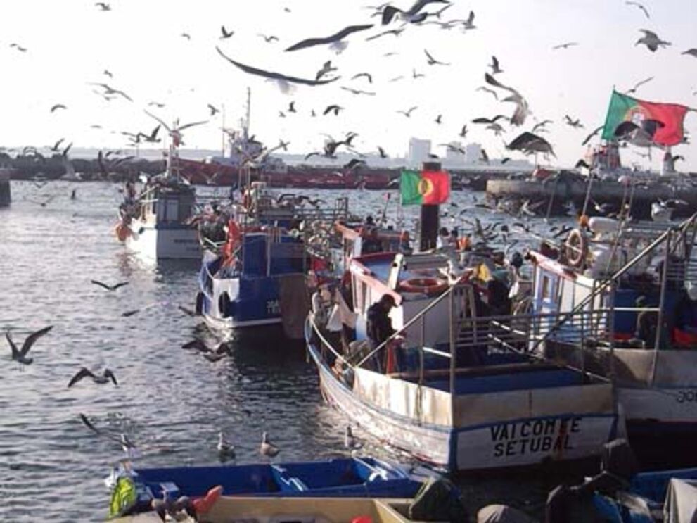 Cinco pescadores já tiveram alta