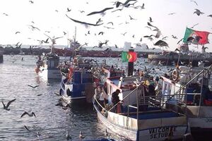 Cinco pescadores já tiveram alta