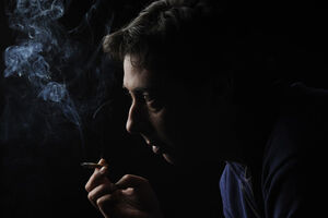 Miguel Gomes: "Andei à pêra por causa do Dumbo"