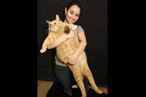 Chama-se Sponge Bob e pesa 15 kg (vídeo)