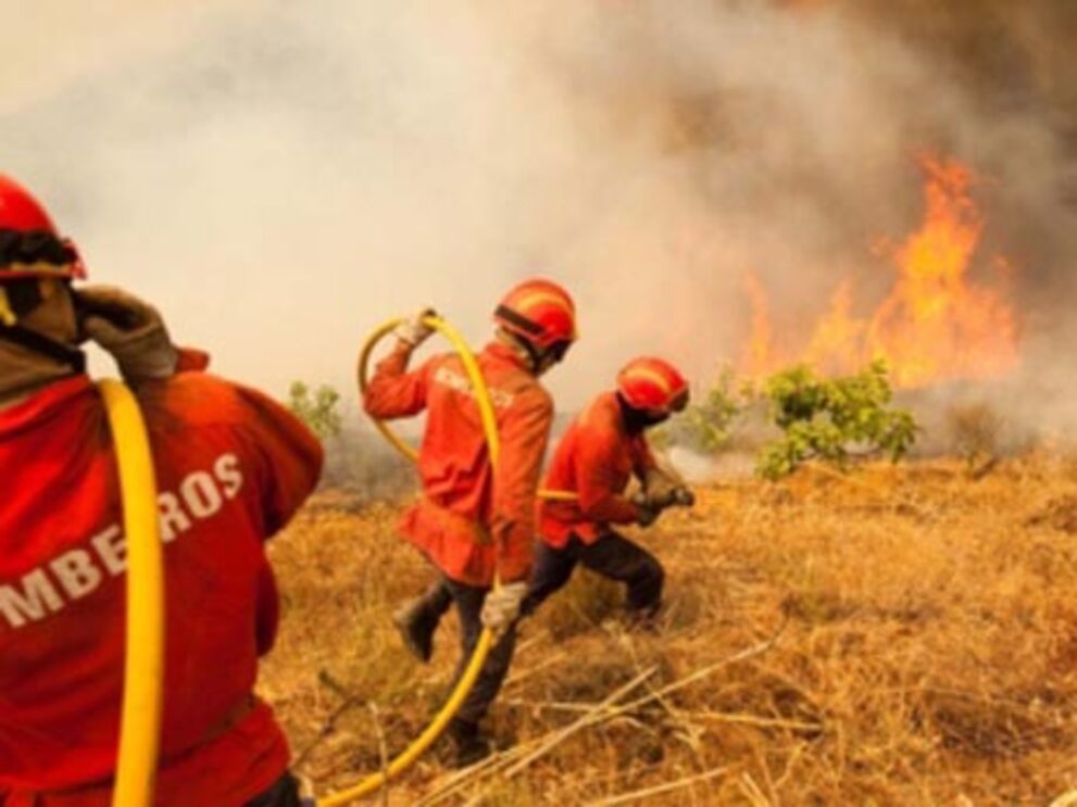 Seis bombeiros feridos nos incêndios