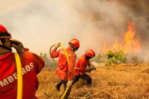 Seis bombeiros feridos nos incêndios