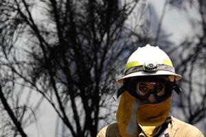 Fogo em Sintra combatido por 160 bombeiros