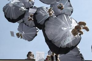 Mais de mil ursos lançados na Bielorrússia contra o regime