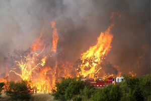 Incêndios: Vinte e quatro concelhos em risco máximo