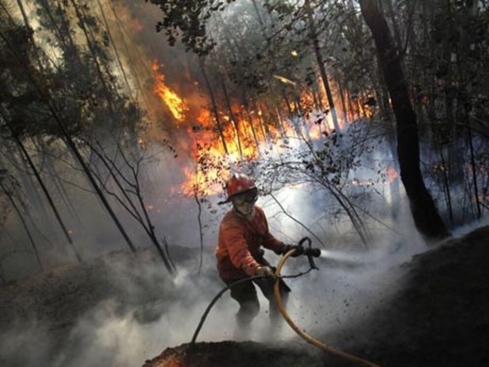 Incêndios: 31 concelhos em risco máximo