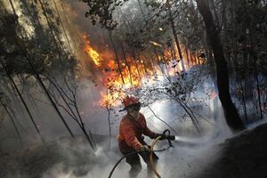 Incêndios: 31 concelhos em risco máximo