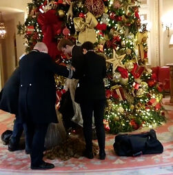 Manifestantes despejam sacos de estrume debaixo da árvore Natal icónica do hotel Ritz em Londres 