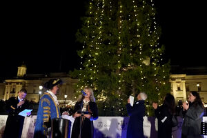 Árvore natalícia da Noruega ilumina a Trafalgar Square em Londres