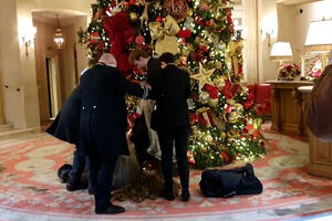 Manifestantes despejam sacos de estrume debaixo da árvore Natal icónica do hotel Ritz em Londres 