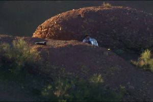 Homem é resgatado após ficar preso durante a noite num trilho no meio das montanhas nos EUA  