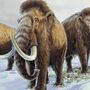 Criança de nove anos encontra dente de mamute