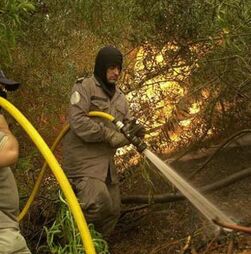 Incêndios: Fogo em Ponte de Lima passou para Viana do Castelo e tem três frentes ativas