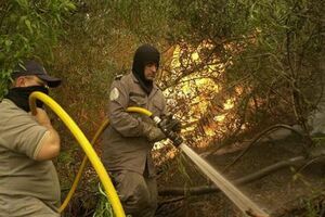 Bombeiros combatem chamas em Viana do Castelo