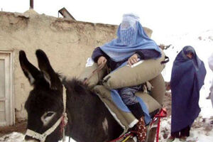 De burro até à maternidade (vídeo)