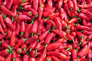 Não quer engordar à medida que for envelhecendo?