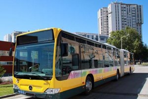 Linhas do Mar. Há novas rotas diretas para as praias durante o verão