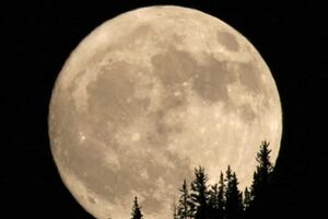 Sonda espacial chinesa pousou na Lua