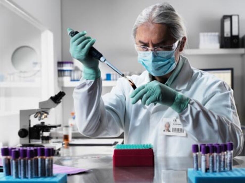 Cientistas criam células embrionárias a partir de células adultas