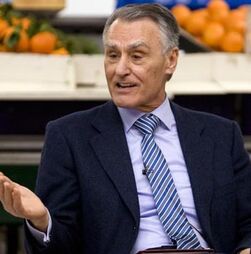 Cavaco Silva distinguido hoje em Estrasburgo com Ordem Europeia de Mérito