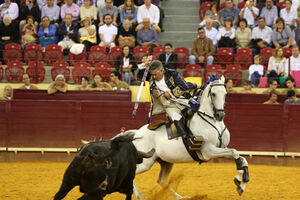 João Moura sofre acidente grave 