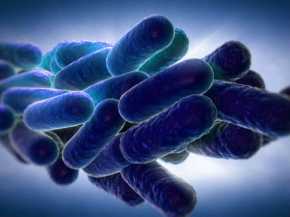 Legionella: Ministérios escondem culpados