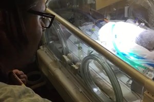 Viúvo canta para o seu bebé na incubadora