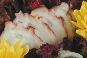 Bica do Sapato - Sushi Bar