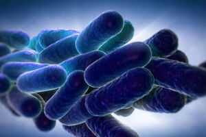 Legionella: Ministérios escondem culpados