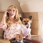 Como viajar com animais em 10 companhias aéreas