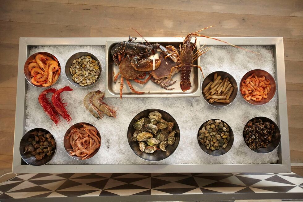 marisco, Bairro Alto, percebes, ostras