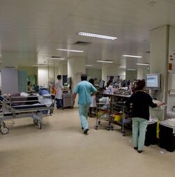 Governo prepara penalização de médicos que saiam do SNS