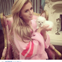 Paris Hilton compra cão por 9 mil euros  