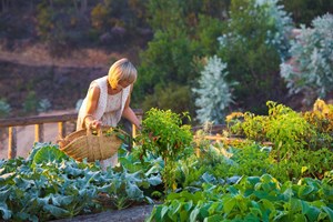 Aprenda a plantar bio hortas e jardins na sua varanda