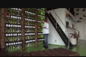 Dominique Persoone ~ Chocolate Snorting ~ how to get a Cocoa High.mp4