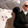 A gata de Karl Lagerfeld é dona de uma fortuna