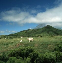 Elevado alerta vulcânico para V1 no canal Faial - Pico