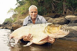 JeremyWade.mp4