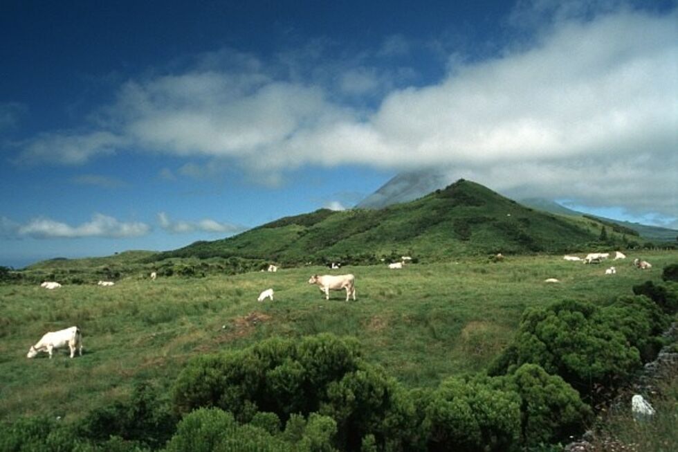 Açores, Ilha do Pico